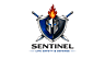 Virzuals Footer Logo